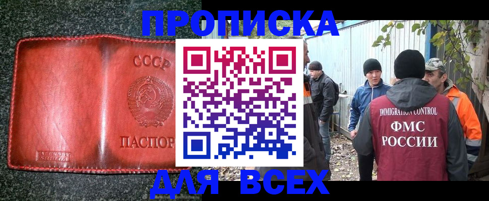 временная регистрация поиск в Петропавловске-Камчатском